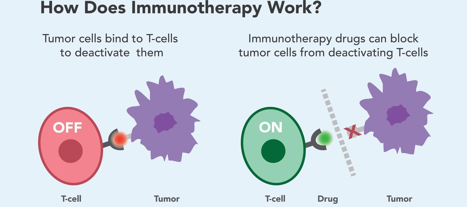 Immunoterapia: L'arma Bio Contro Il Cancro - AlimentarMente