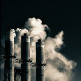 Credit foto© Pexels